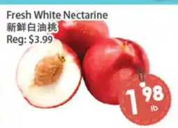 Fresh Palace Supermarket Fresh White Nectarine offer