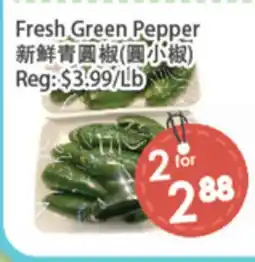Fresh Palace Supermarket Fresh Green Pepper offer