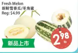 Fresh Palace Supermarket Fresh Melon offer