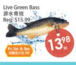 Fresh Palace Supermarket Live Green Bass offer
