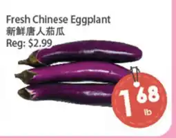 Fresh Palace Supermarket Fresh Chinese Eggplant offer
