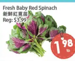 Fresh Palace Supermarket Fresh Baby Red Spinach offer