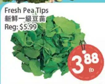 Fresh Palace Supermarket Fresh Pea Tips offer