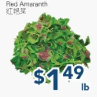 Oceans Fresh Food Market Red Amaranth offer