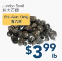 Oceans Fresh Food Market Jumbo Snail offer