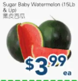 Oceans Fresh Food Market Sugar Baby Watermelon (15Lb & Up) offer