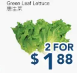 Oceans Fresh Food Market Green Leaf Lettuce offer