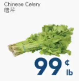 Oceans Fresh Food Market Chinese Celery offer
