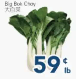 Oceans Fresh Food Market Big Bok Choy offer