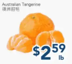 Oceans Fresh Food Market Australian Tangerine offer