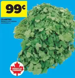 Real Canadian Superstore Cilantro offer