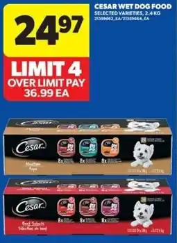 Real Canadian Superstore Cesar wet dog food offer