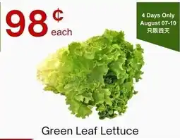Lucky Supermarket Green Leaf Lettuce offer