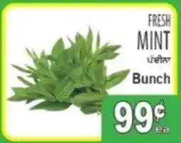 Sabzi Mandi Supermarket Fresh mint offer