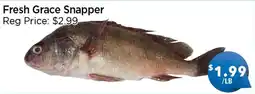 Blue Sky Supermarket Fresh Grace Snapper offer