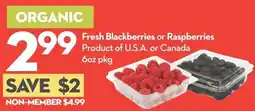 Longo's Fresh Blackberries or Raspberries offer