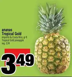 Super C ananas Tropical Gold offer