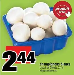 Super C champignons blancs offer