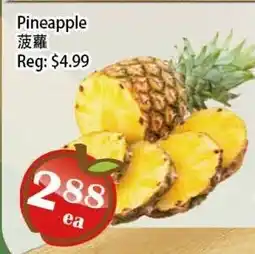 Food Depot Supermarket Pineapple offer