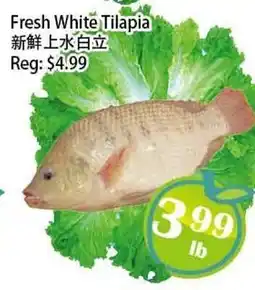 Food Depot Supermarket Fresh White Tilapia offer
