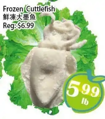 Food Depot Supermarket Frozen Cuttlefish offer