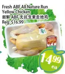 Food Depot Supermarket Fresh ABF All Nature Run Yellow Chicken offer
