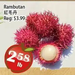 Food Depot Supermarket Rambutan offer
