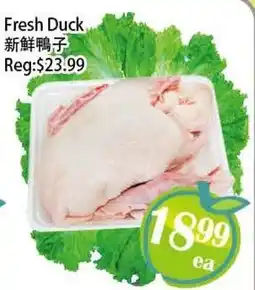 Food Depot Supermarket Fresh Duck offer