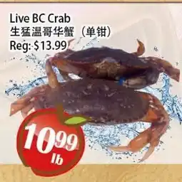 Food Depot Supermarket Live BC Crab offer
