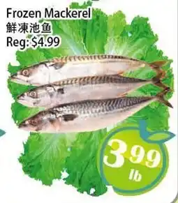 Food Depot Supermarket Frozen Mackerel offer
