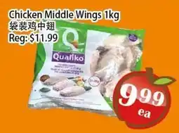 Food Depot Supermarket Chicken Middle Wings offer