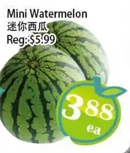 Food Depot Supermarket Mini Watermelon offer