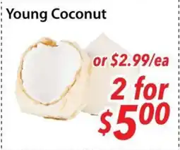 Bestco Food Mart Young Coconut offer