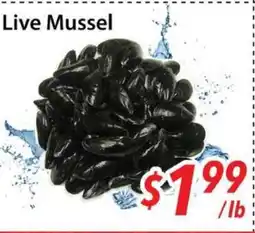 Bestco Food Mart Live Mussel offer