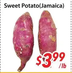 Bestco Food Mart Sweet Potato(Jamaica) offer