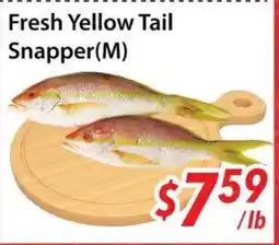 Bestco Food Mart Fresh Yellow Tail Snapper(M) offer