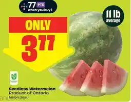 FreshCo Seedless Watermelon Product of Ontario offer