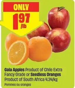 FreshCo Gala Apples or Seedless Oranges offer