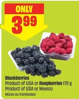 FreshCo Blackberries or Raspberries offer