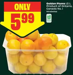 FreshCo Golden Plums Product of Ontario, Canada No. 1 offer