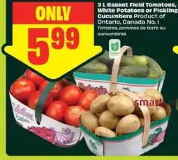 FreshCo Basket Field Tomatoes, offer