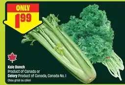FreshCo Kale Bunch or Celery offer