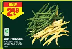 FreshCo Green or Yellow Beans offer