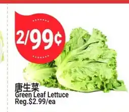 SunFood Supermarket Green Leaf Lettuce offer