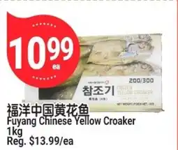 SunFood Supermarket Fuyang Chinese Yellow Croaker offer