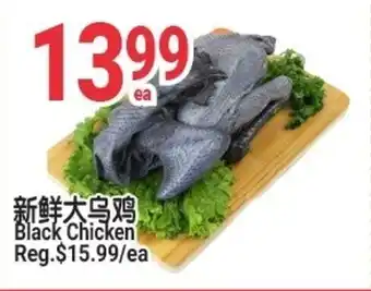 Black Chicken