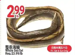 SunFood Supermarket Whole Sea Eel offer
