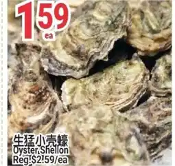 SunFood Supermarket Oyster Shellon offer