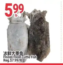 SunFood Supermarket Frozen Fresh Cuttle Fish offer
