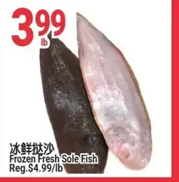 SunFood Supermarket Frozen Fresh Sole Fish offer